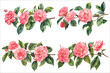 Beautiful Camellias flower illustration, Set of camellias flowers, Camellia flower and leaves illustration, Watercolor Camellias flower, Camellia flower branches, Pink camellia flower element