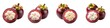 set of cut mangosteen in half - fruit, cut, half isolated on transparent background