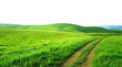 isolated green grass outdoor field landscape with roadway