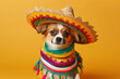 Cinco de Mayo celebration. Cute dog wearing a Mexican sombrero