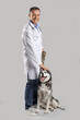 Male veterinarian with cute husky dog on grey background