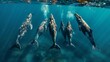   A pod of dolphins swimming together in a body of water, emitting bubbles from their wake