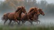   Group of brown horses galloping through foggy field with trees in background on foggy day
