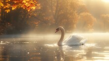  A White Swan Floats Atop A Foggy Lake Beside A Forest, Its Leaves Transitioning From Yellow To Orange