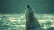   A polar bear sits in the snow, gazing upward at the winter sky Snowflakes dot the ground beneath him