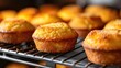 Crispy cornbread muffins fresh out of the oven