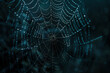 a dark background with raindrops on a spider web