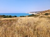 Fototapeta Las - Panorama of the coast of Cyprus
