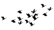 © Rawpixel.com - Flying birds png silhouette sticker, animal illustration on transparent background