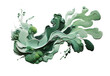 Jade and moss paint stroke on solid white background, generative AI