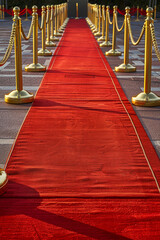 Empty red carpet vertical background