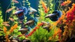Vibrant guppies swimming gracefully in a wellplanted freshwater aquarium, bright colors of the fish contrasting with green aquatic plants