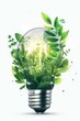 © Anna Baranova - Green plant growing in the light bulb at the white background