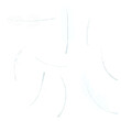 © Rawpixel.com - Feather png design element set