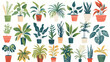 Potted house plants set. Houseplants growing in plant