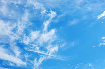 Wall Mural - White clouds in blue sky