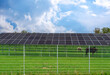 Eingezäuntes Solarfeld auf einer Weide bei Mamming, Niederbayern, Bayern, Deutschland