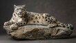   A snow leopard atop a rock before a dark backdrop, against a cement slab