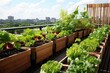 Self-Watering Urban Rooftop Vegetable Garden Ideas: Low Maintenance | Fresh Herbs | Urban Gardening