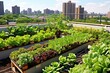 Rooftop Urban Vegetable Gardening: Innovative Ideas for Windbreaks, Climate Control, and Protected Plants