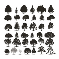 Wall Mural - Big collection of tree silhouettes isolated on white background vector illustration