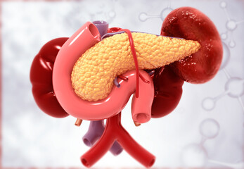 Wall Mural - Human pancreas on scientific background. 3d illustration.