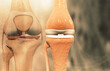 Human knee anatomy on scientific background. 3d illustration.