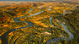 Fototapeta Miasto - Aerial View Green Forest Woods And River Landscape In Sunny Spring Evening. Top View Of Beautiful European Nature From High Attitude In Summer Season. Drone View. Bird's Eye View.
