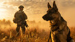 Military dog with handler in a field