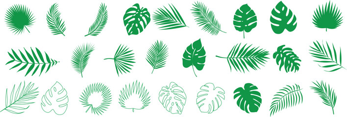 Wall Mural - tropical leaves vector set, vibrant green exotic plant illustrations