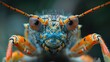 Arthropoda head and thorax