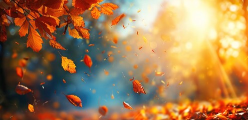 autumn colorful bright leaves swinging in a tree in autumnal park fall background