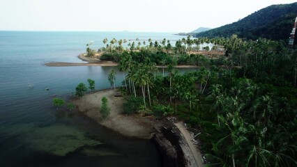 Poster - Coconut trees by the sea on Koh Chang