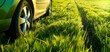 A car next to a vibrant green field, with direct sunlight on the tire