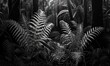 Utilize pen and ink to depict the intricate patterns and textures of a newly found fern species in a dense, mystical forest setting Ensure the delicate lines and shading convey the mystery and rarity