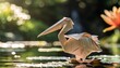 Origami pelican on lily pad, serene pond, dappled sunlight, peaceful, soft background, side view