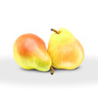 two ripe pears