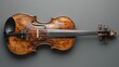 an alto violins