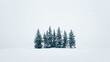 © rookielion - A group of snow-covered pine trees in a snowy field