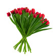 © Елена Челышева - bouquet of red tulips with green leaves, isolated on a white background