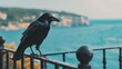 Black bird perched on railing by water