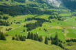 Swiss forest and meadow landscape with huts from a bird's eye view