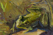 Frog oil painting. Illustration of a green reptile sitting in the water. Artwork, postcard. Animals in the wild. Layout for the design of printing, websites. The concept of animal care. modern art