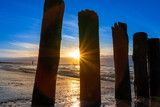 Fototapeta Dmuchawce - Beautiful golden hour beach sunset with glowing sun and colorful sky shows vibrant colors as north sea sand dunes and nature reserve at the ocean in golden hour sunshine as travel destination agents