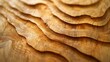A close up of the growth rings of a tree