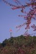 Lung Cu Flag Pole in Ha Giang during spring season with foreground of cherry blossom