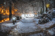 Opole zimą w nocy i wieczorem w mieście z oświetlonymi ulicami, z iluminacjami i śniegiem