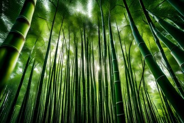 Poster - green bamboo background