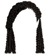 trendy african black hair cornrows. 
 realistic  3d .fashion beauty style .trendy african hairstyle wig