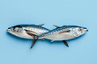 Atlantic horse mackerel on light blue background